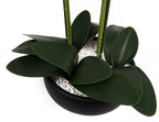 Artificial 60cm Orchid White Black Ceramic Planter