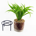 35cm Artificial Grass with Ceramic Planter Metal Stand