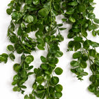 75cm Artificial Trailing Round Leaf Foliage Plant Classic Gloss Green