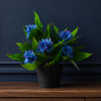 18cm Artificial Freesia Plant Blue Flowering